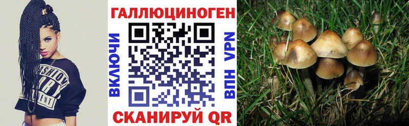 где можно купить   Старый Крым  omg   Галлюциногенные грибы Magic Shrooms 